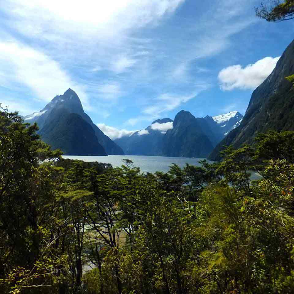 milford track view from milford village