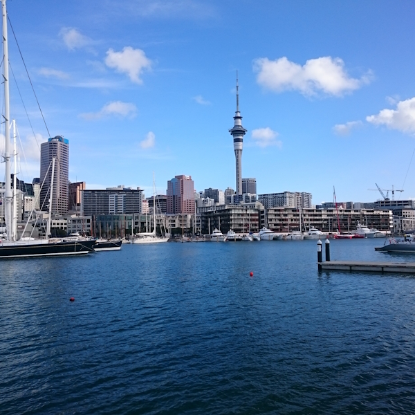 7 things to do in Auckland, New zealad